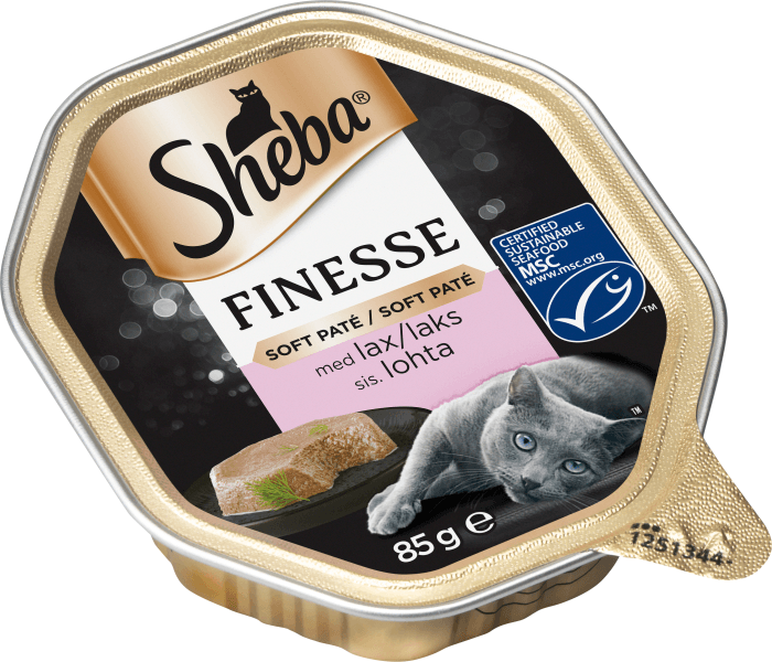 Kattmat Lax mousse