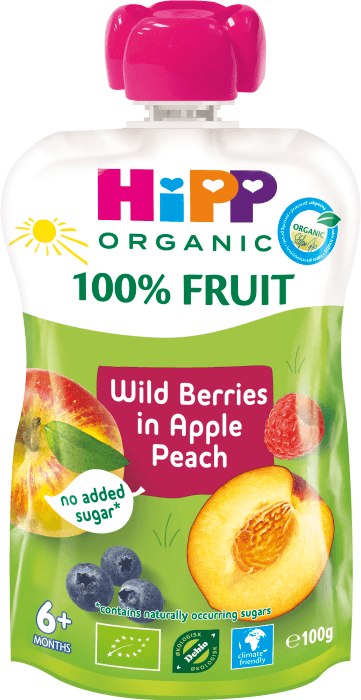Smoothie Äpple, Persika, Blåbär & Hallon 6 mån Eko KRAV