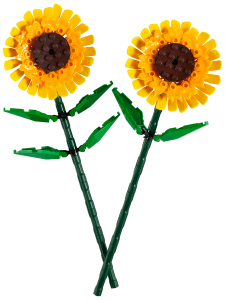 Botanicals Solrosor 40524