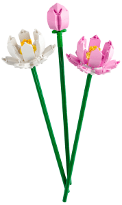 Botanicals Lotusblommor 40647
