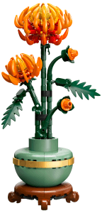 Botanicals Krysantemum 10368