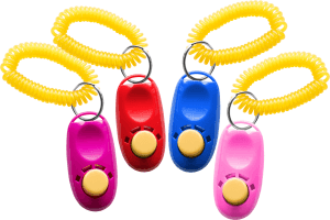 Clicker med Band Spiral