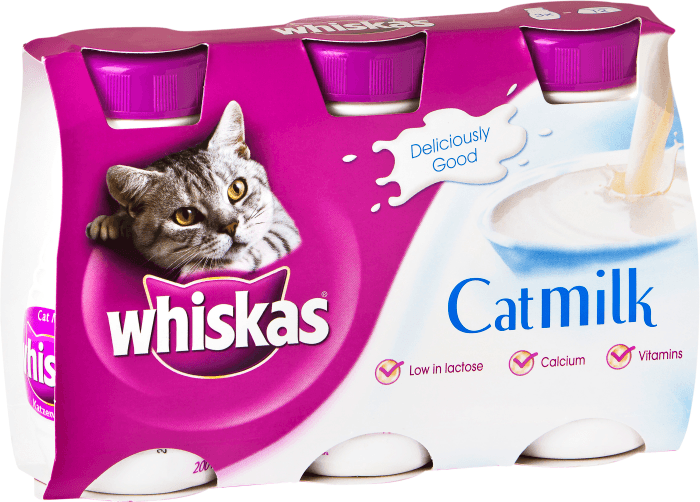 Kattmjölk