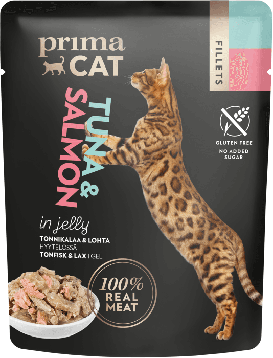 Kattmat Fillets Tonfisk med lax i gele
