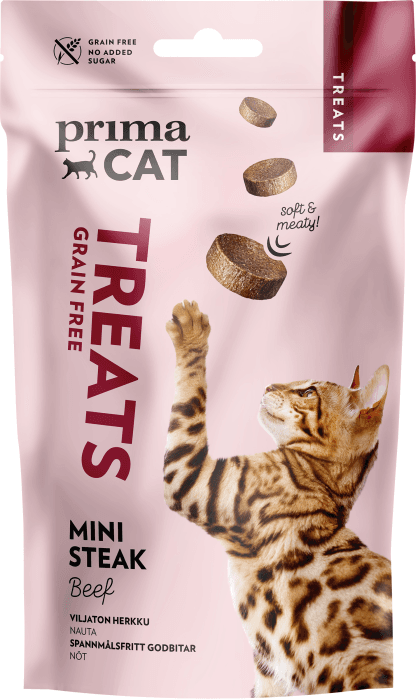 Softy Ministek Nöt