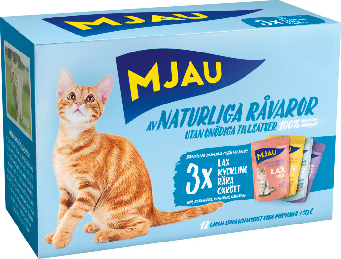 Kattmat Kött/Fisk Multipack 12x85g