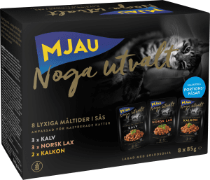 Kattmat Bitar i sås