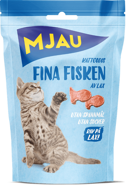 Kattgodis Gottebitar Fina Fisken