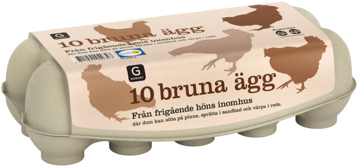 Bruna Ägg Frigående Inomhus Medium/large