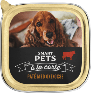 Pate Beef Hund
