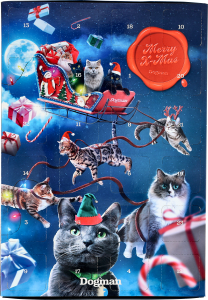 Katt Adventskalender