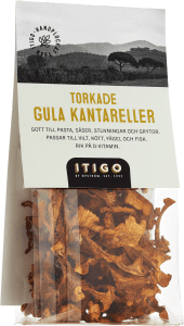 Gul Kantarell Torkad