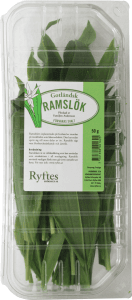 Ramslök