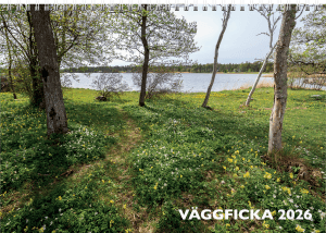 Väggficka 2026