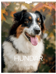 Väggkalender Stora Hund 2026