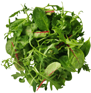 Salladsmix "Napoli" storpack Klass1 Europeiska unionen