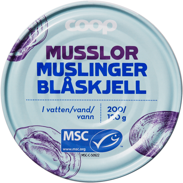 Musslor I Vatten