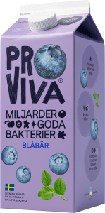 Fruktdryck Blåbär