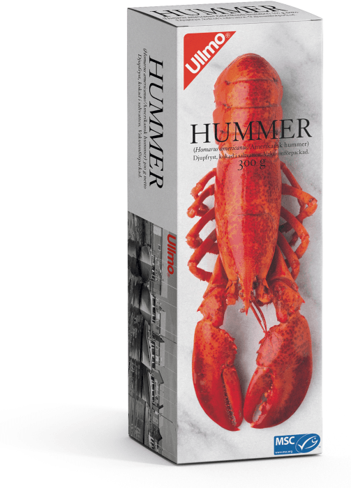 Hummer Fryst