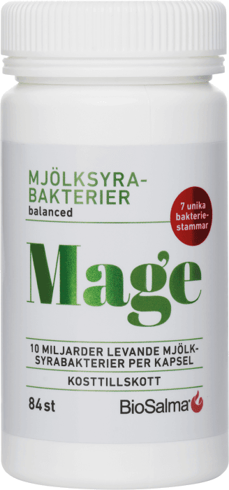Mjölksyrabakterier