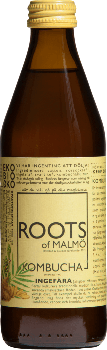 Kombucha Ingefära EKO