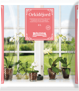 Orkidejord