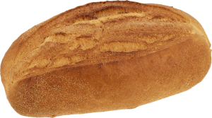 Medelhavs Lant