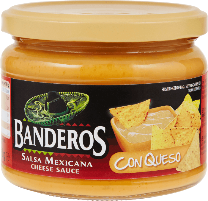 Salsa Ost Dip