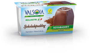Chokladpudding Glutenfri Vegansk