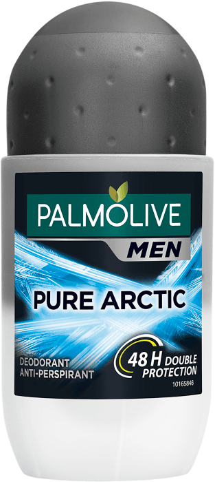 Deo Roll-On Pure Arctic Men 48h