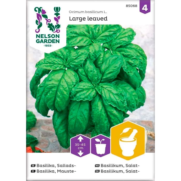 Basilika Sallads Storbladig