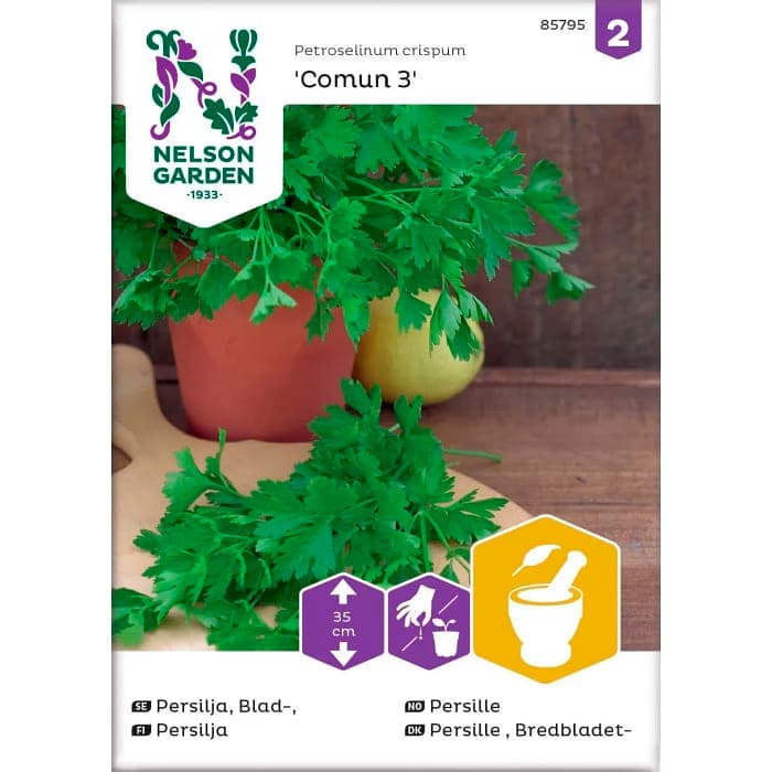 Persilja Slätbladig Comun 3