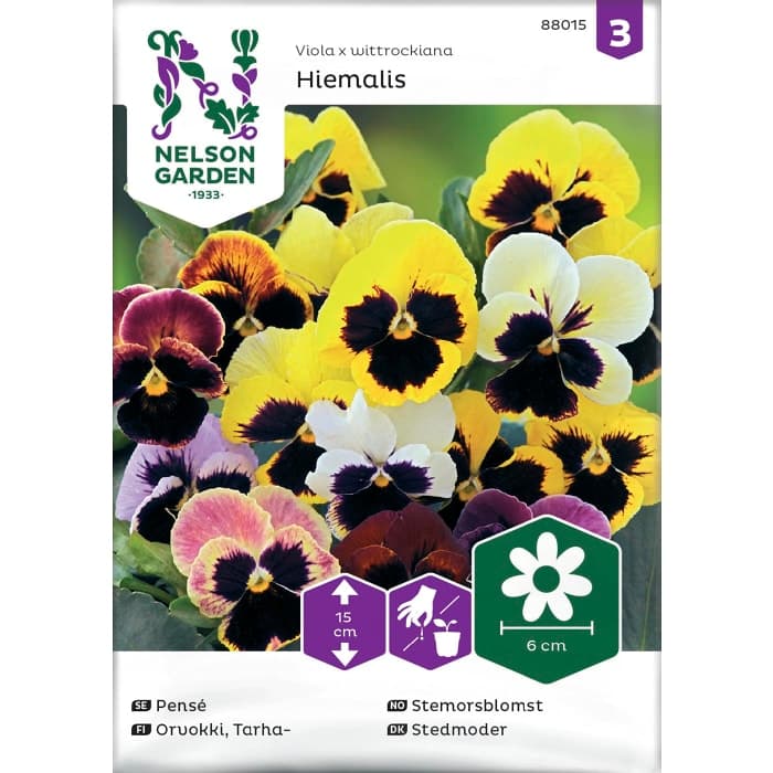 Pensé Hiemalis tidig mix