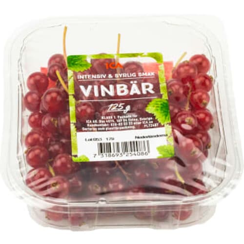 Röda vinbär