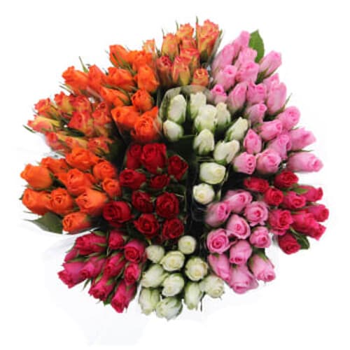 Rosor varierande färger