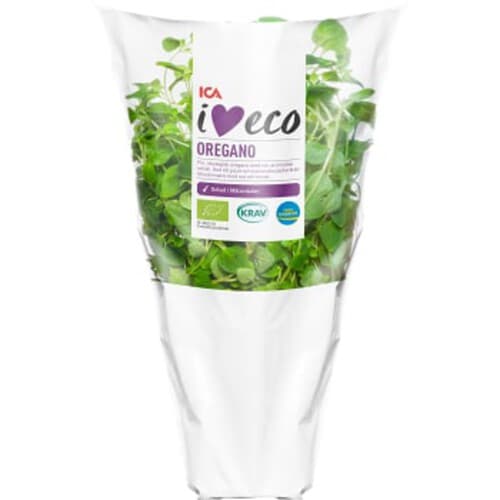 Oregano Ekologisk