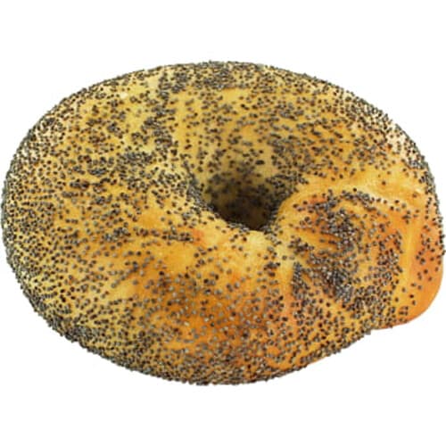 Bagel