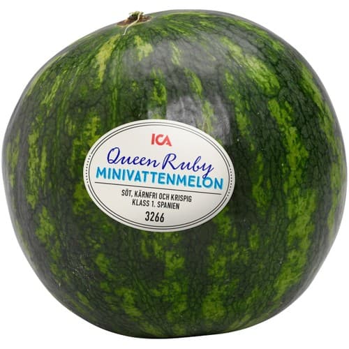 Minivattenmelon Queen Ruby