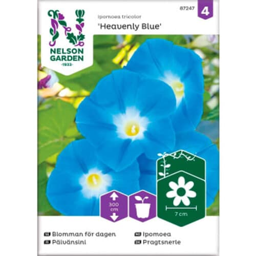 Blomman för dagen