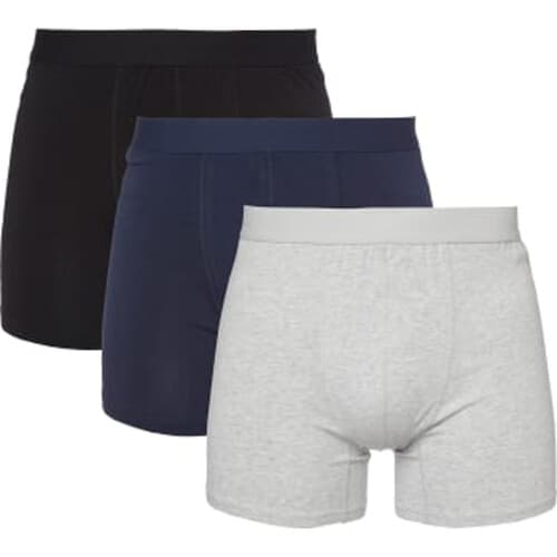 Boxer Ivar