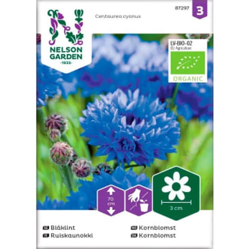 Blåklint Tall double