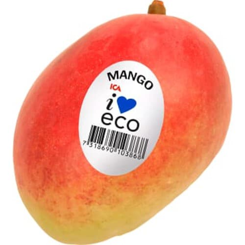 Mango Ekologisk