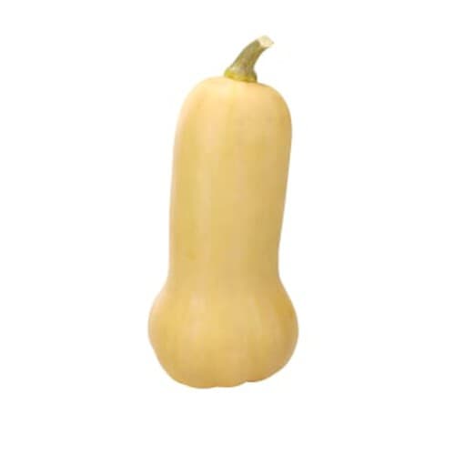 Pumpa Butternut