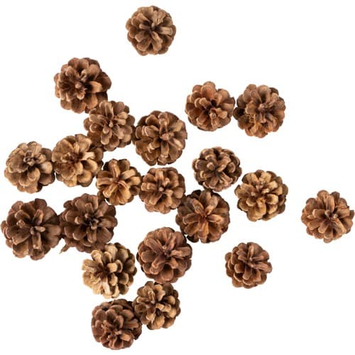 Kottar i nät ic Season