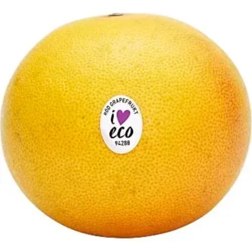 Grapefrukt röd Eko
