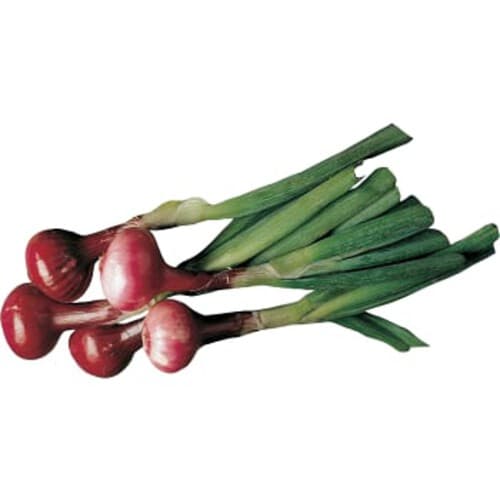 Knippelök röd