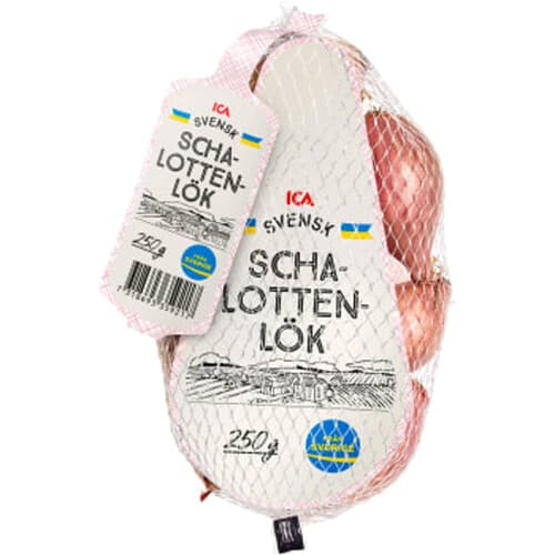 Schalottenlök