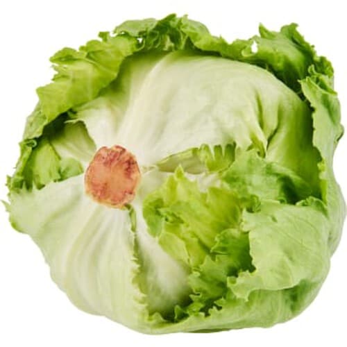 Isbergssallat