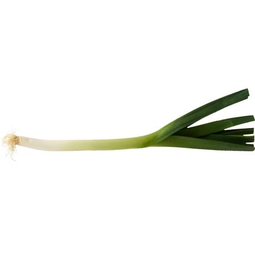 Purjolök
