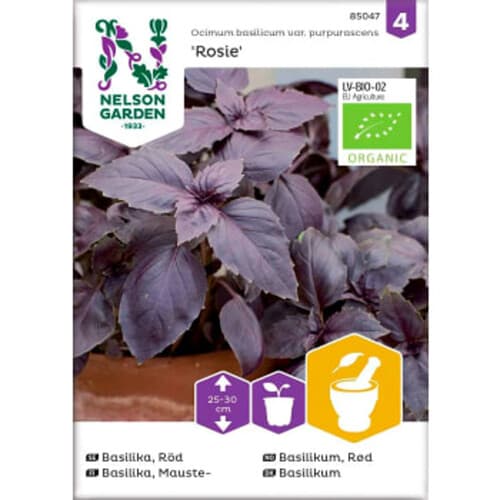 Basilika Rosie Organic